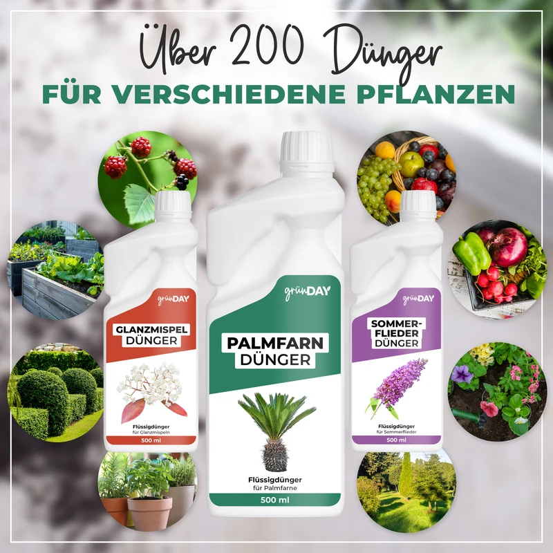 Palmfarn-Flüssigdünger 500 ml