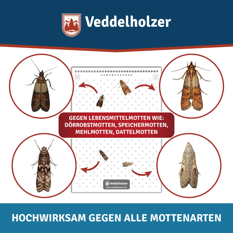 Lebensmittelmottenfalle 10 Stück – mit Pheromon-Lockstoff