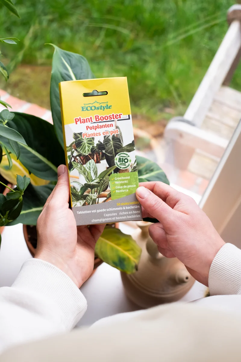 Plant Booster Potplanten
