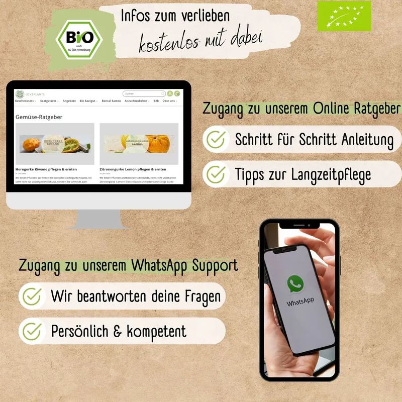 Bio Zitronengurke lemon Samen
