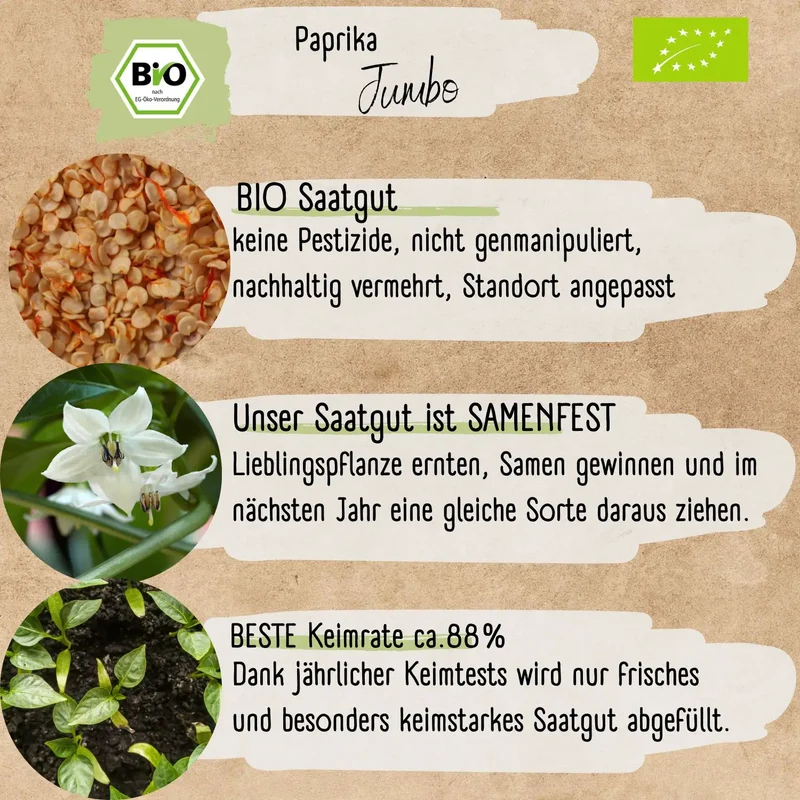 Bio Paprika Jumbo mild Samen