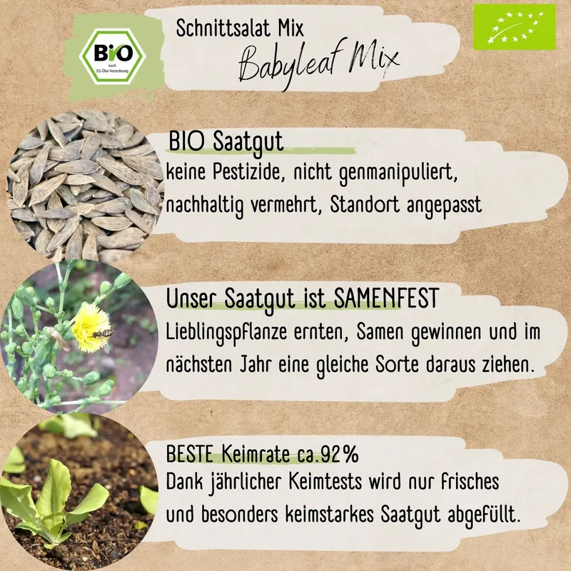 Bio Schnittsalat Samen Mix