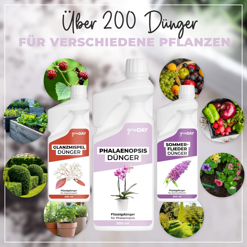 Phalaenopsis-Flüssigdünger 500 ml