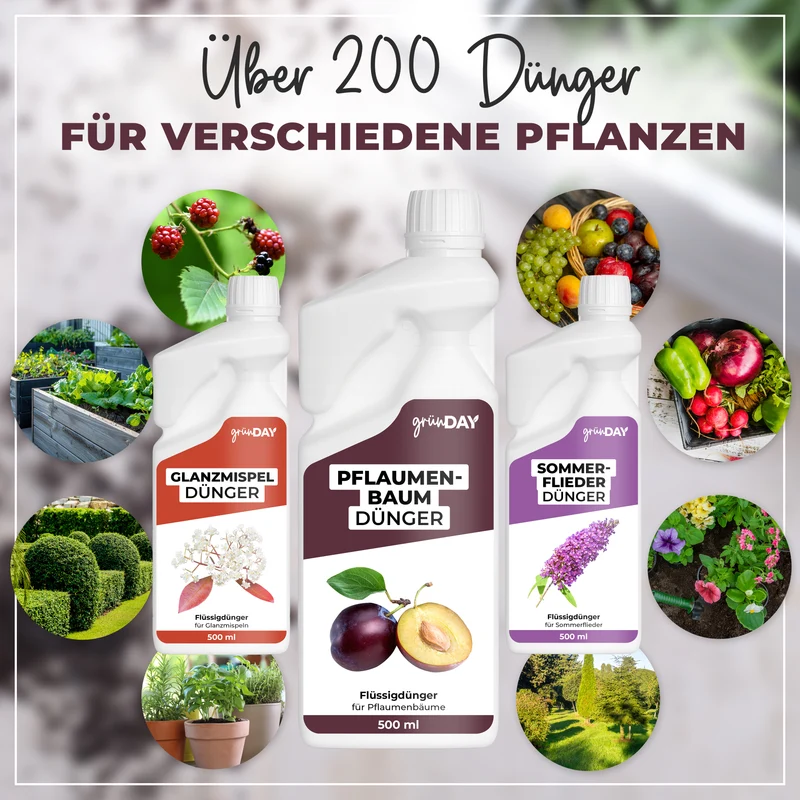 Pflaumenbaum-Flüssigdünger 500 ml