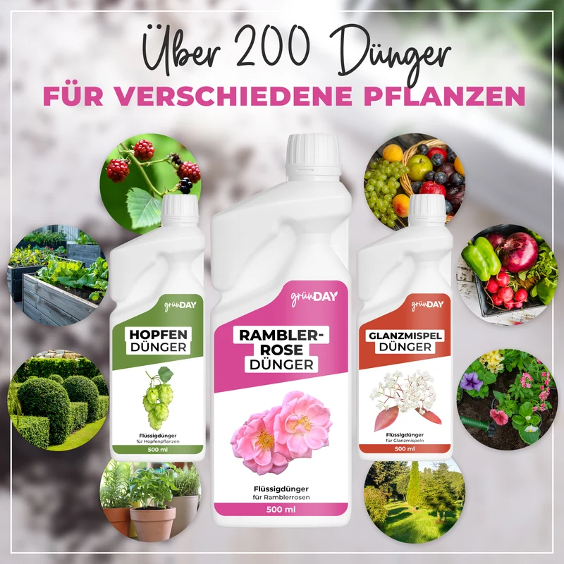 Ramblerrose-Flüssigdünger 500 ml