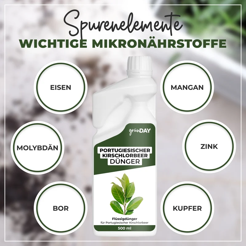 Portugiesischer Kirschlorbeer-Flüssigdünger 500 ml