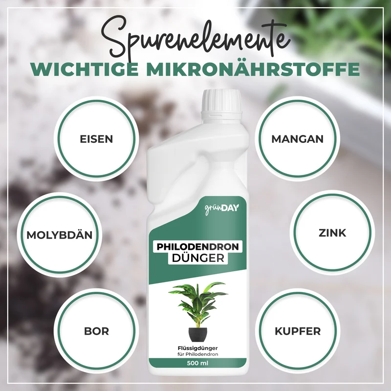 Philodendron-Flüssigdünger 500 ml