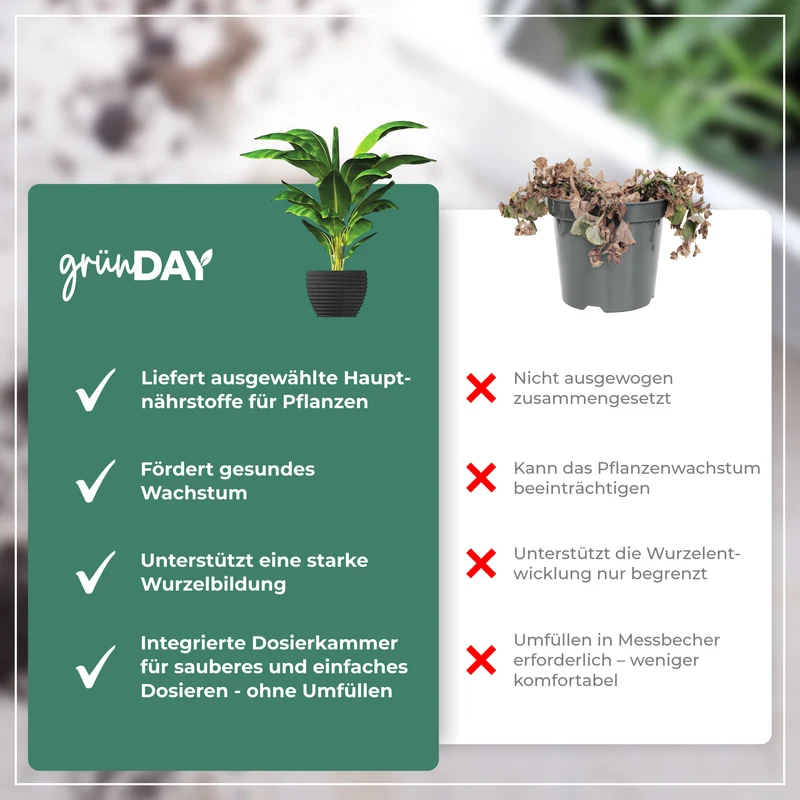 Philodendron-Flüssigdünger 500 ml