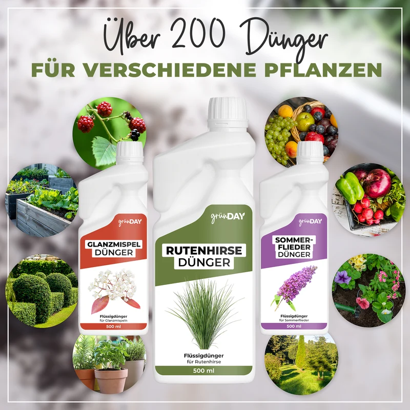 Rutenhirse-Flüssigdünger 500 ml