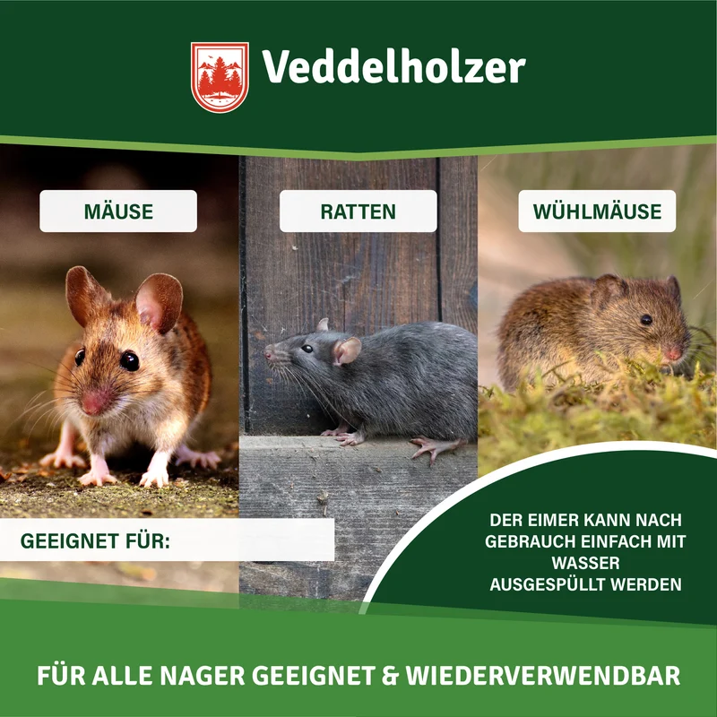Mausefalle Lebendfalle – tierfreundliches Komplettset