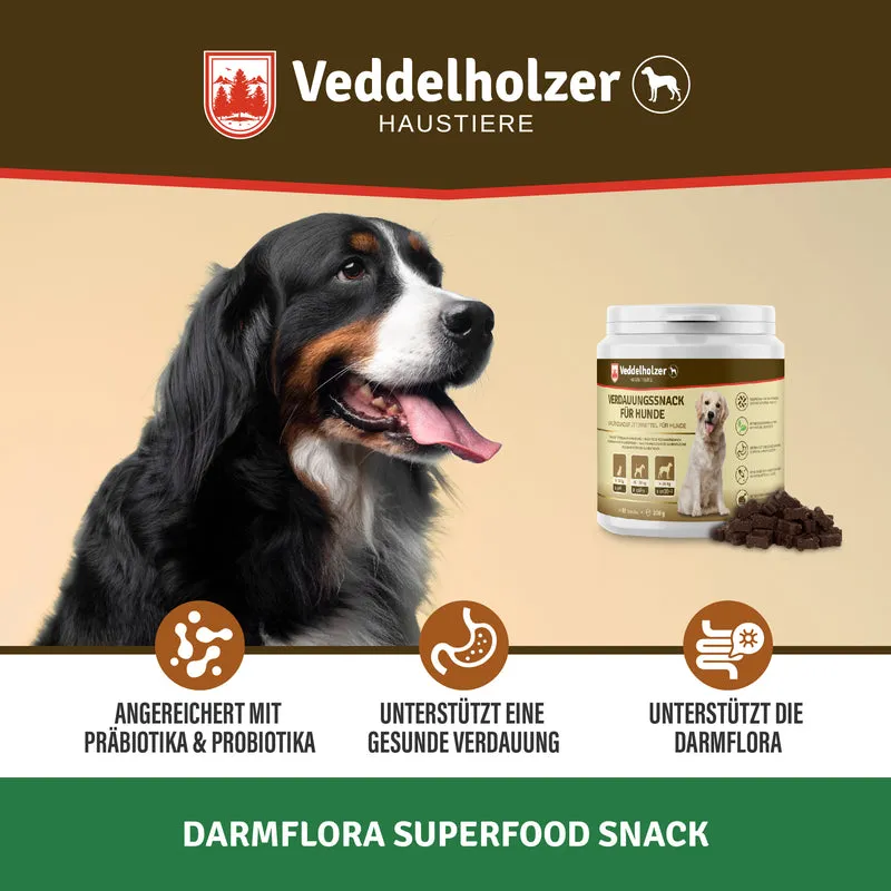 Probiotika Leckerli für Hunde – Darmflora & Verdauung