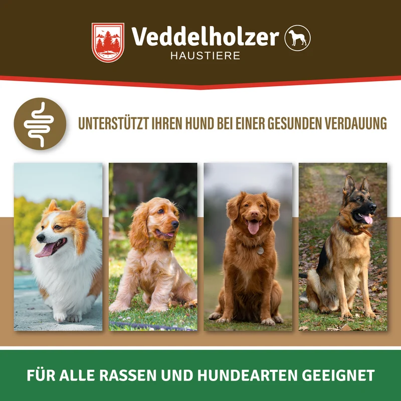 Probiotika Leckerli für Hunde – Darmflora & Verdauung