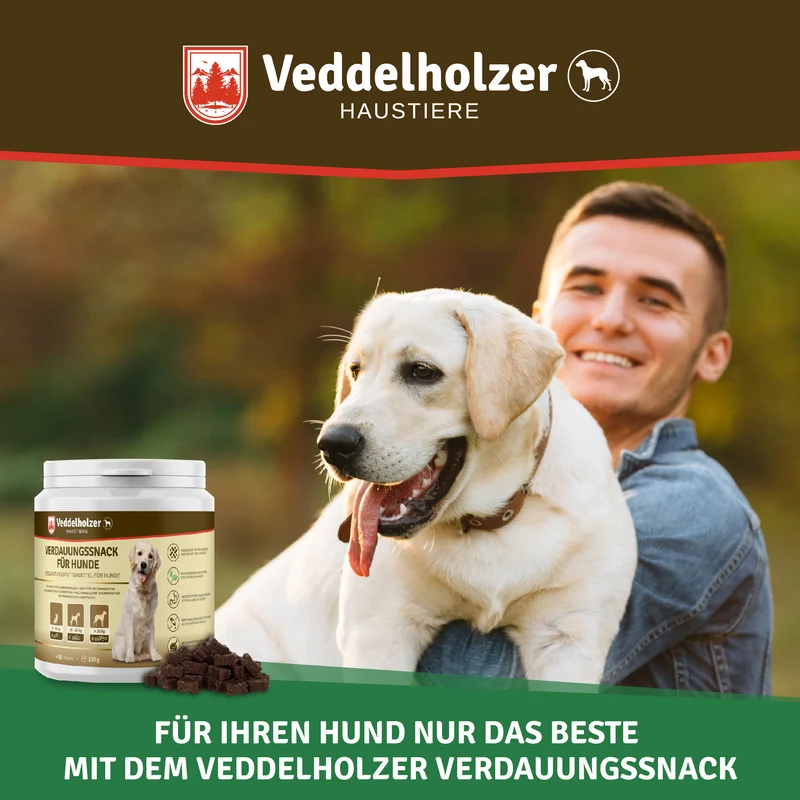 Probiotika Leckerli für Hunde – Darmflora & Verdauung