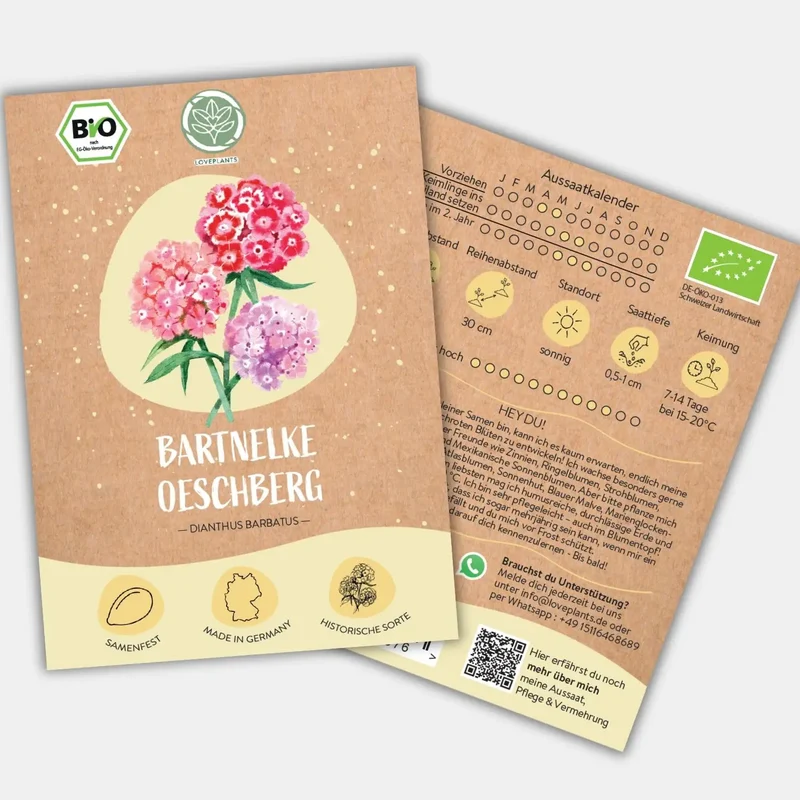 Bio Bartnelke Oeschberg Samen