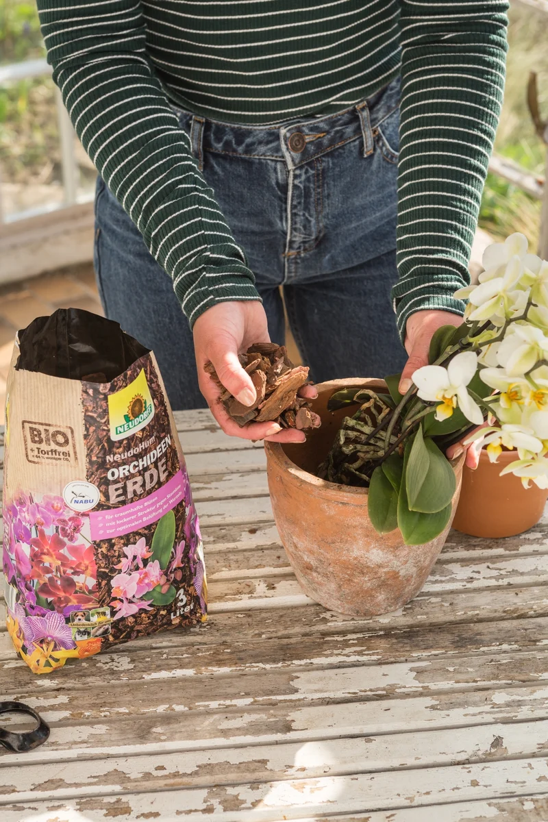 Neudorff NeudoHum Orchideenerde 3l