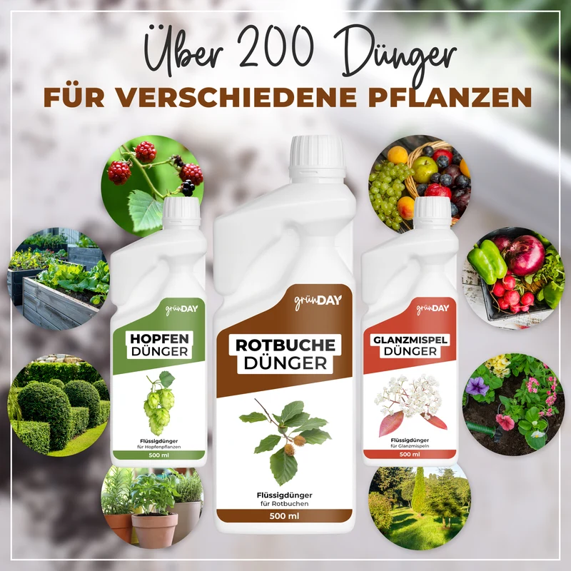 Rotbuche-Flüssigdünger 500 ml