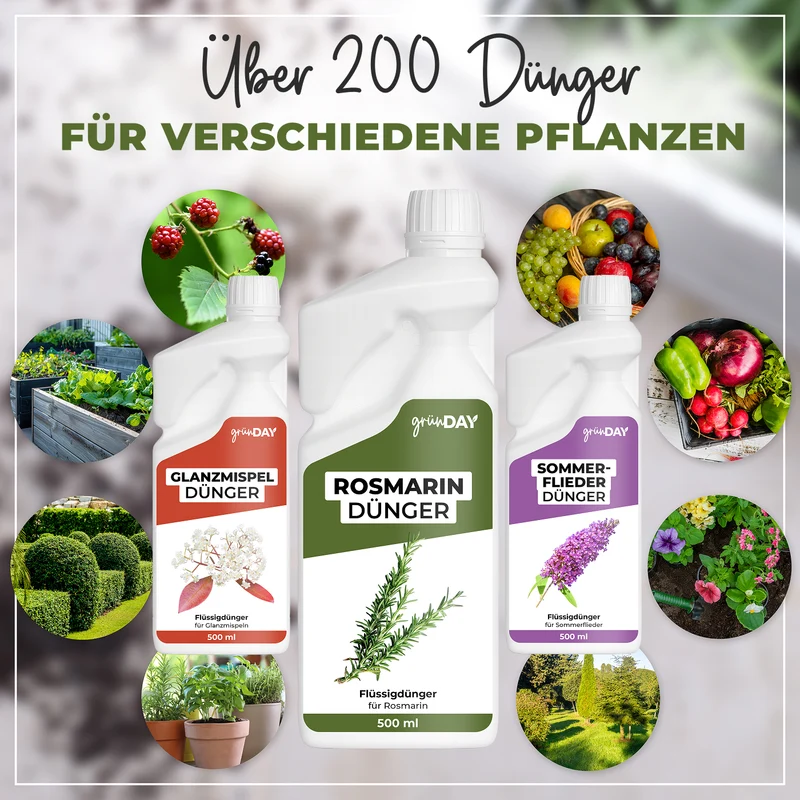 Rosmarin-Flüssigdünger 500 ml