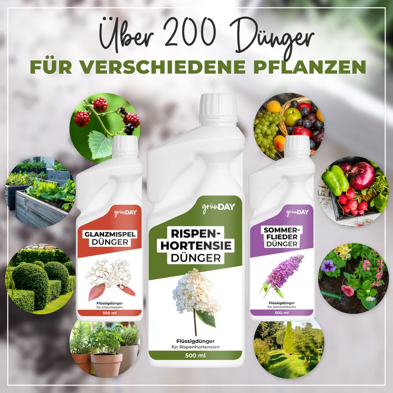 Rispenhortensie-Flüssigdünger 500 ml