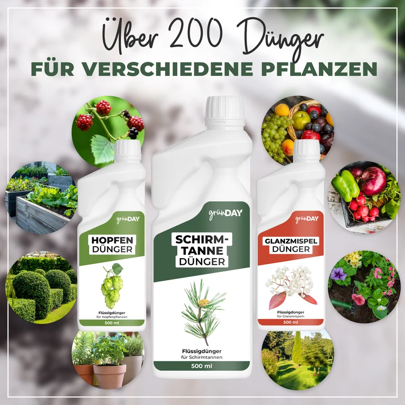Schirmtanne-Flüssigdünger 500 ml
