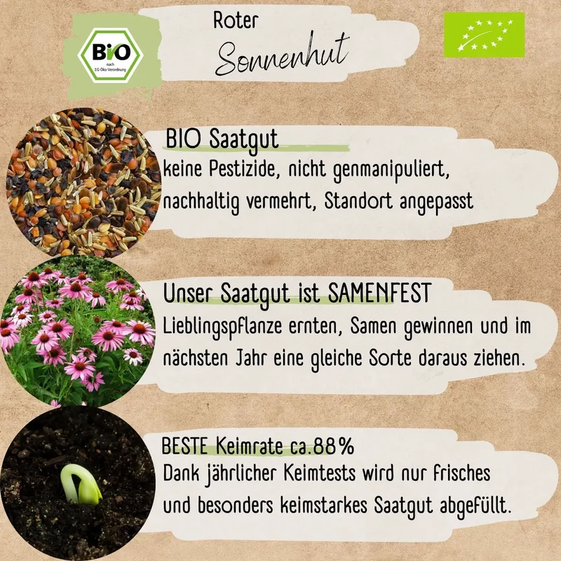 Bio Roter Sonnenhut Samen