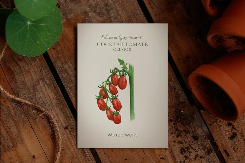 Cocktailtomate ‘Celsior’