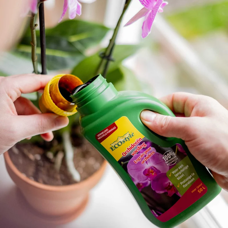 Orchideeën voeding