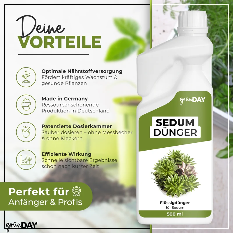 Sedum-Flüssigdünger 500 ml