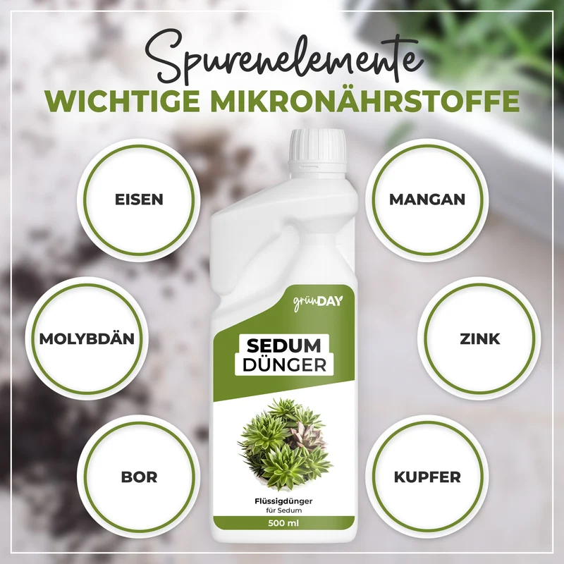 Sedum-Flüssigdünger 500 ml