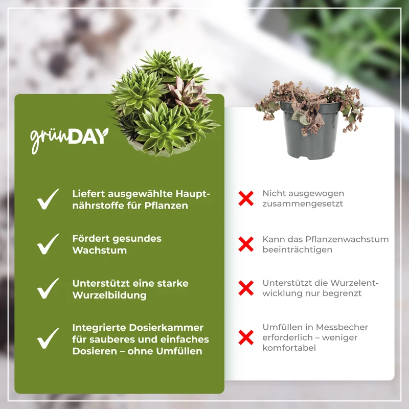 Sedum-Flüssigdünger 500 ml