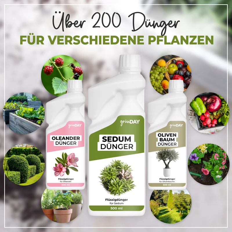 Sedum-Flüssigdünger 500 ml