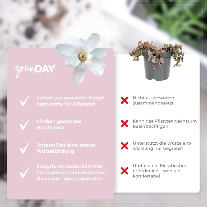 Sternmagnolie-Flüssigdünger 500 ml