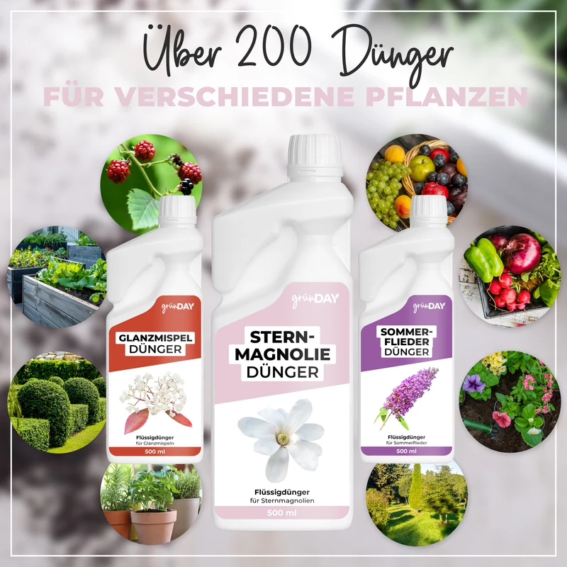 Sternmagnolie-Flüssigdünger 500 ml