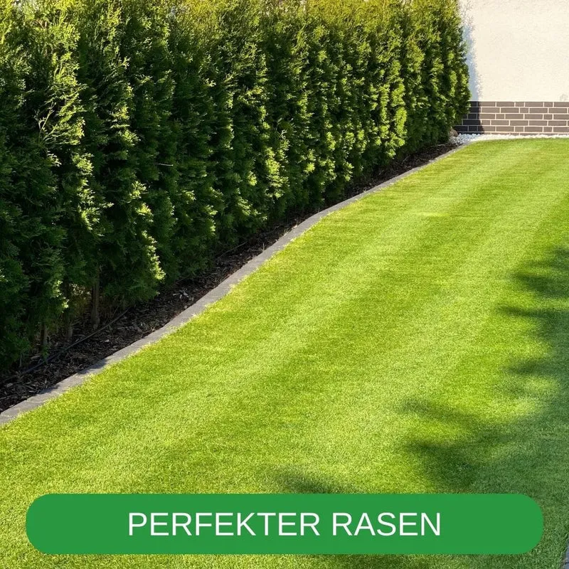 RISISANI Premium Rasenrakel XL-120 in Edelstahl