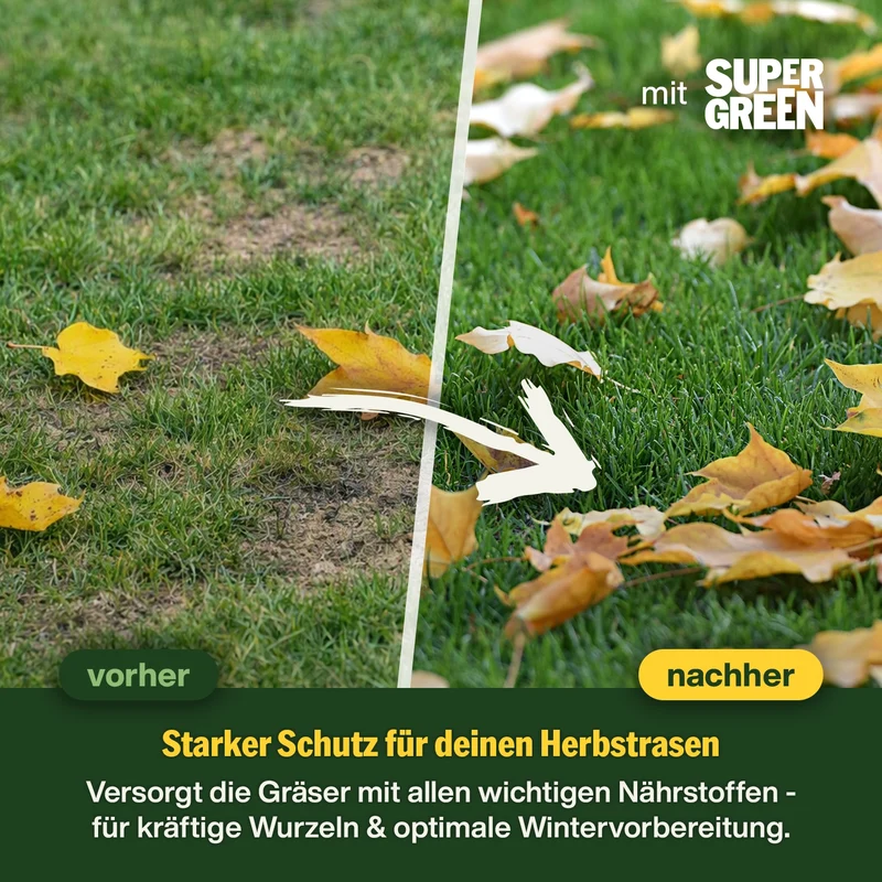 Herbst-Rasenpflege-Set
