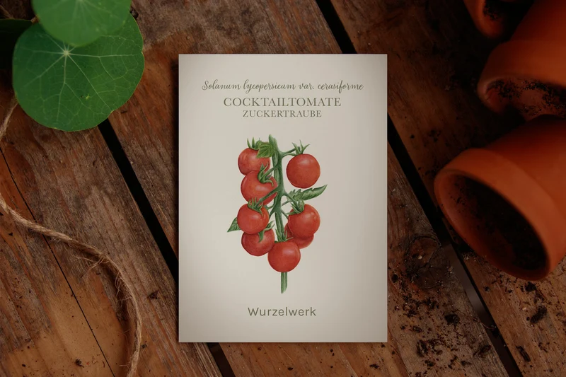 Cocktailtomate 'Zuckertraube'