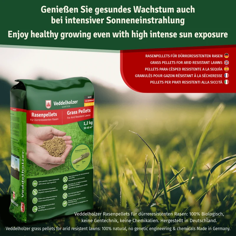 Rasenpellets dürreresistent – Rasen für trockene Böden