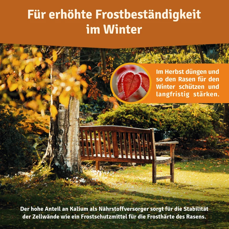 Bio Herbstrasendünger – Langzeitwirkung für Herbst & Winter