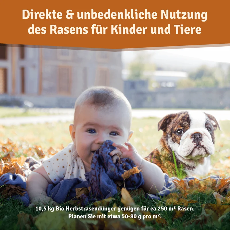 Bio Herbstrasendünger – Langzeitwirkung für Herbst & Winter