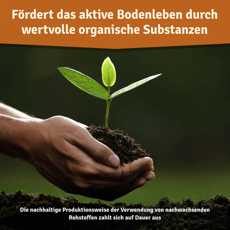 Bio Herbstrasendünger – Langzeitwirkung für Herbst & Winter