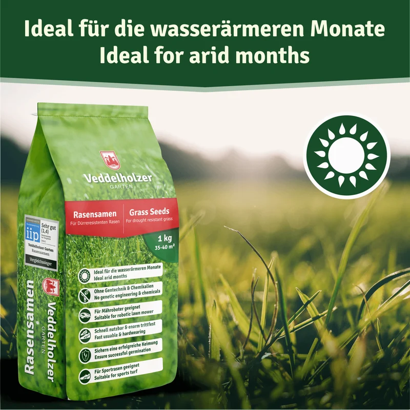 Rasensamen dürreresistent – für Trocken- & Schattenrasen