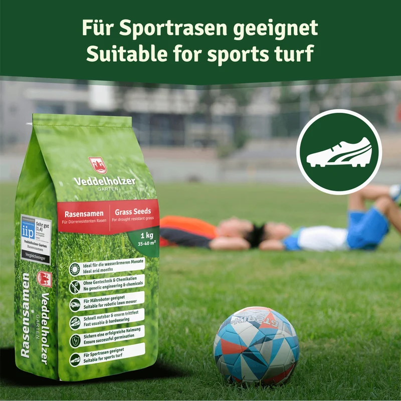 Rasensamen dürreresistent – für Trocken- & Schattenrasen