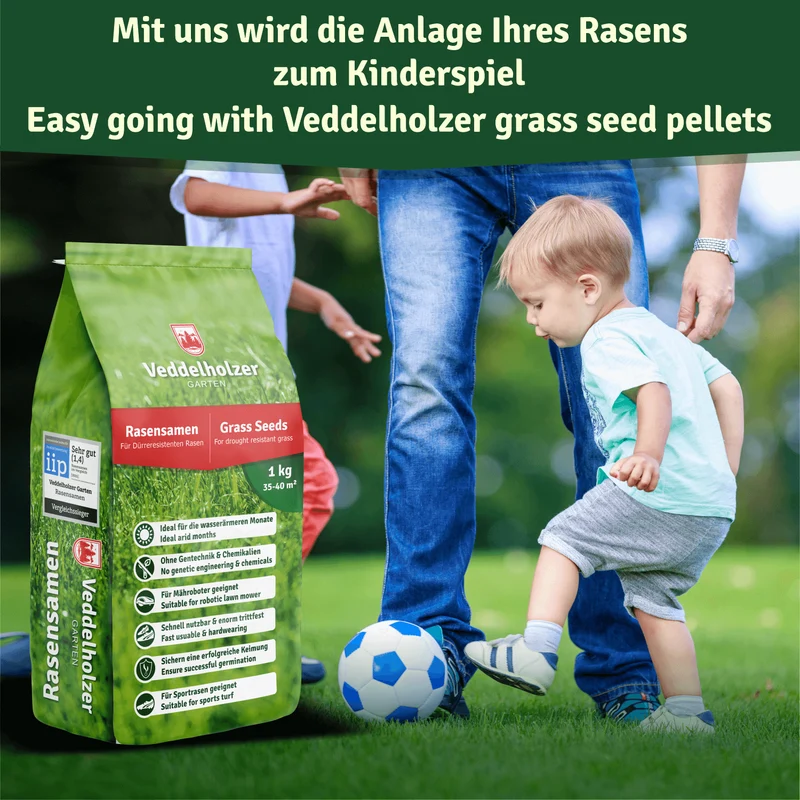 Rasensamen dürreresistent – für Trocken- & Schattenrasen