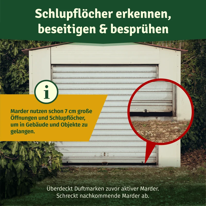 Marderspray 400ml – Marderabwehr für Auto, Dach & Garage