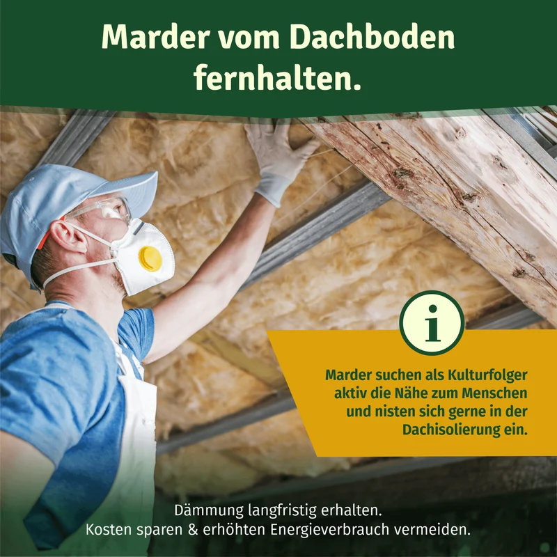 Marderspray 400ml – Marderabwehr für Auto, Dach & Garage