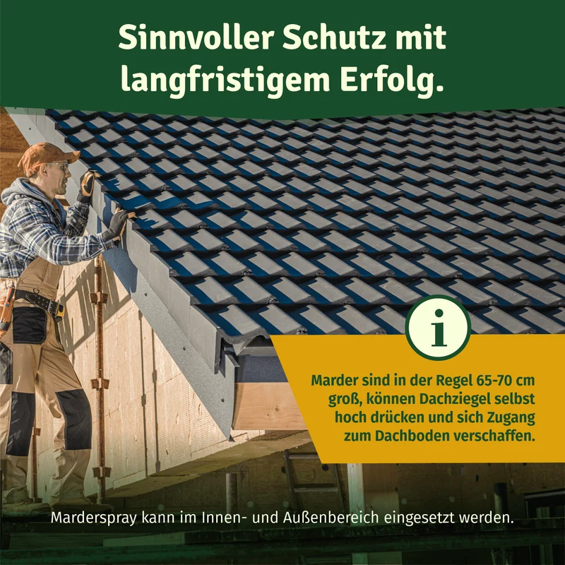 Marderspray 400ml – Marderabwehr für Auto, Dach & Garage