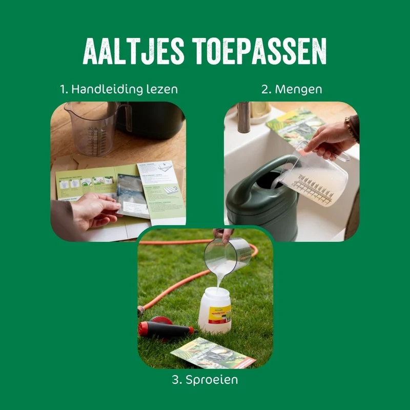 Aaltjes tegen aardrups