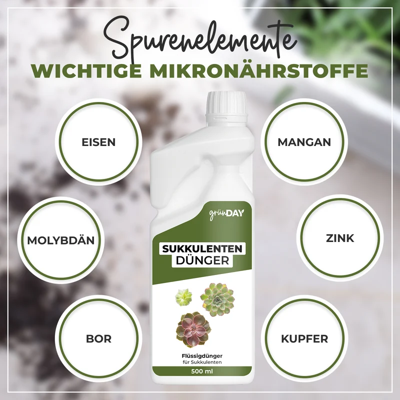 Sukkulenten-Flüssigdünger 500 ml
