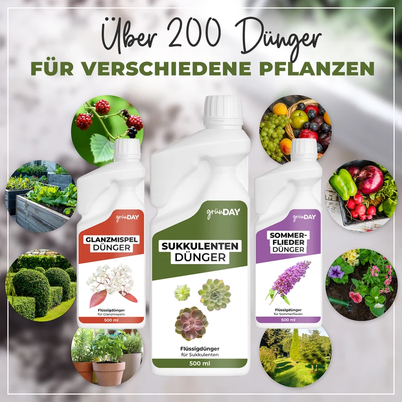 Sukkulenten-Flüssigdünger 500 ml