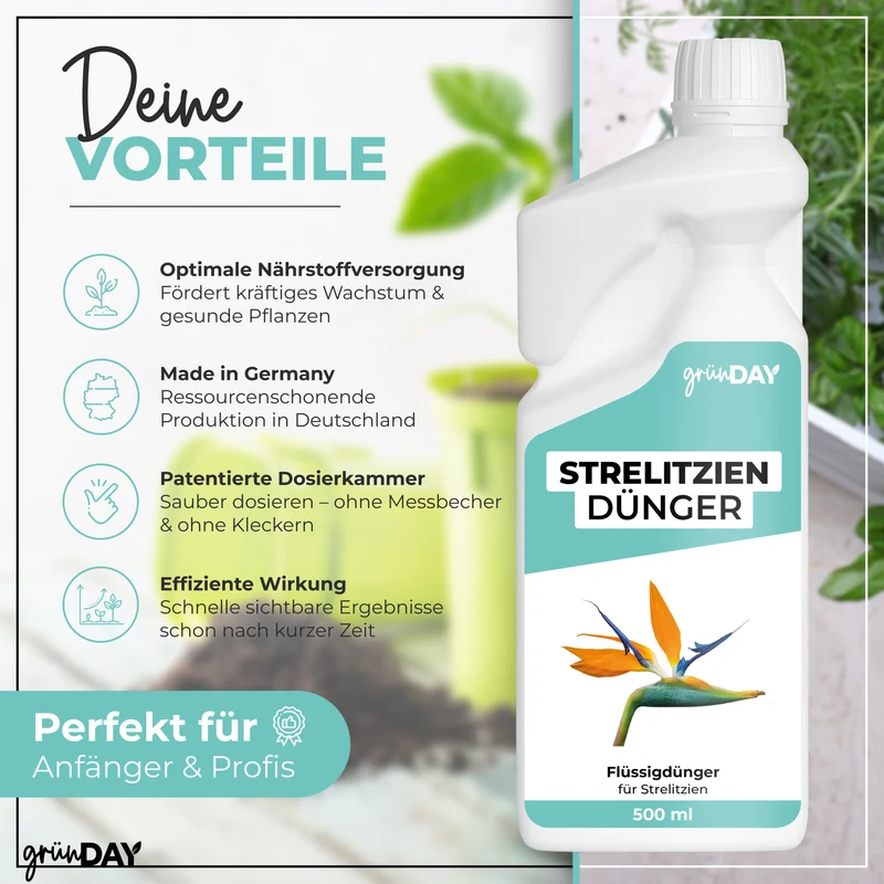 Strelitzien-Flüssigdünger 500 ml