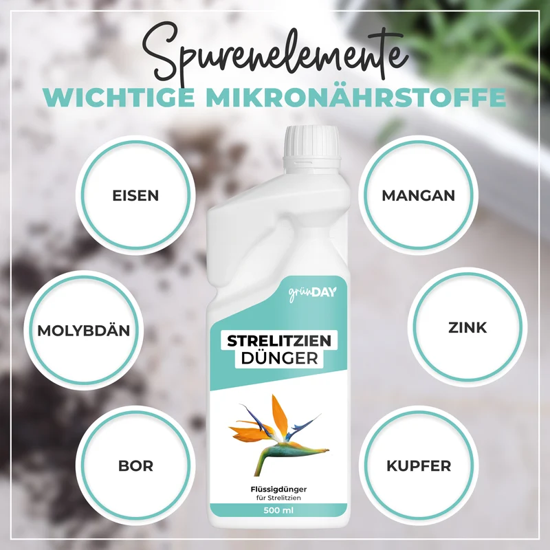 Strelitzien-Flüssigdünger 500 ml